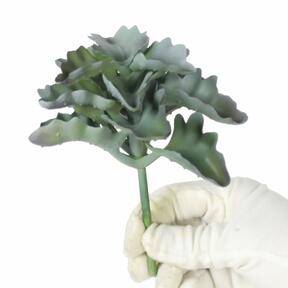 Artificiella Echeveria crinoline volanger 11,5 cm