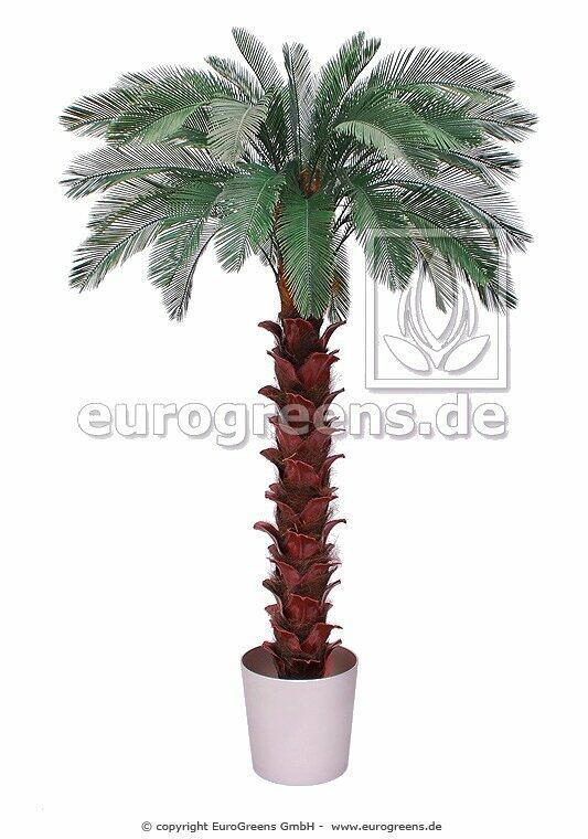 Cycas konstgjord handflata 300 cm