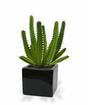 Euphorbia konstgjord kaktus 20 cm