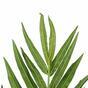 Kentia konstgjord handflata 180 cm