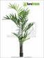 Kentia konstgjord handflata 240 cm