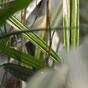Konstgjord bambuväxt 70 cm
