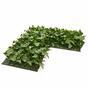 Konstgjord bladpanel Ivy - 25x25cm