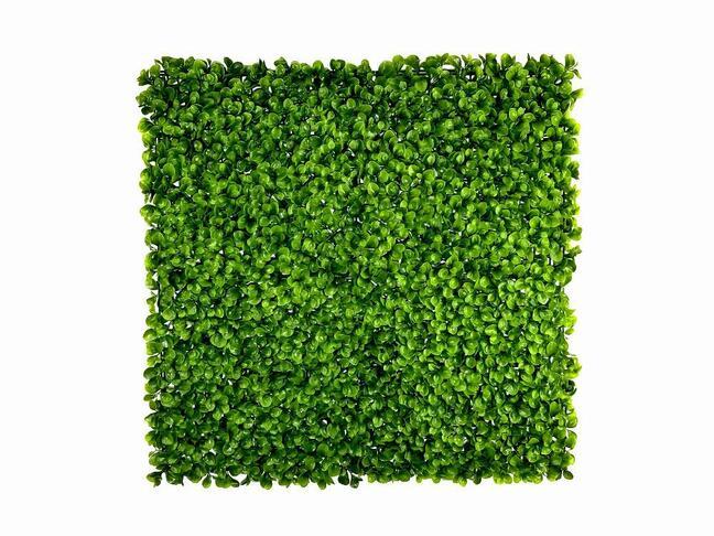 Konstgjord bladpanel Peperomia - 50x50 cm