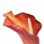Konstgjord blomma Calla orange 55 cm
