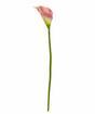 Konstgjord blomma Kala rosa 55 cm