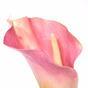 Konstgjord blomma Kala rosa 55 cm