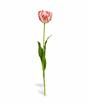 Konstgjord blomma Tulpan röd-vit 70 cm