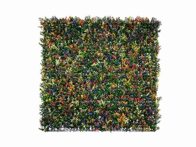 Konstgjord blomsterpanel Buxus mångfärgad - 50x50 cm