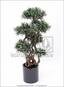 Konstgjord bonsai Nohovec 135 cm