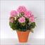 Konstgjord bukett Geranium rosa 40 cm