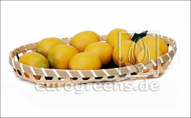 Konstgjord citron