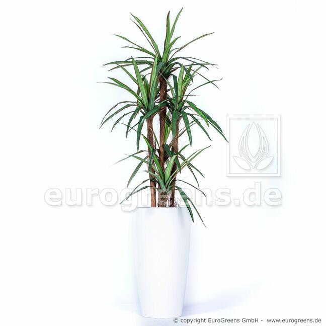 Konstgjord Dracena -växt fodrad med 140 cm