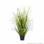 Konstgjord gräsbunt Vanligt vass i en blomkruka 60 cm