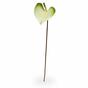 Konstgjord gren Anthurium grön-vit 50 cm