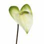 Konstgjord gren Anthurium vitgrön 55 cm