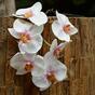 Konstgjord gren av Orchid rosa-vit 55 cm
