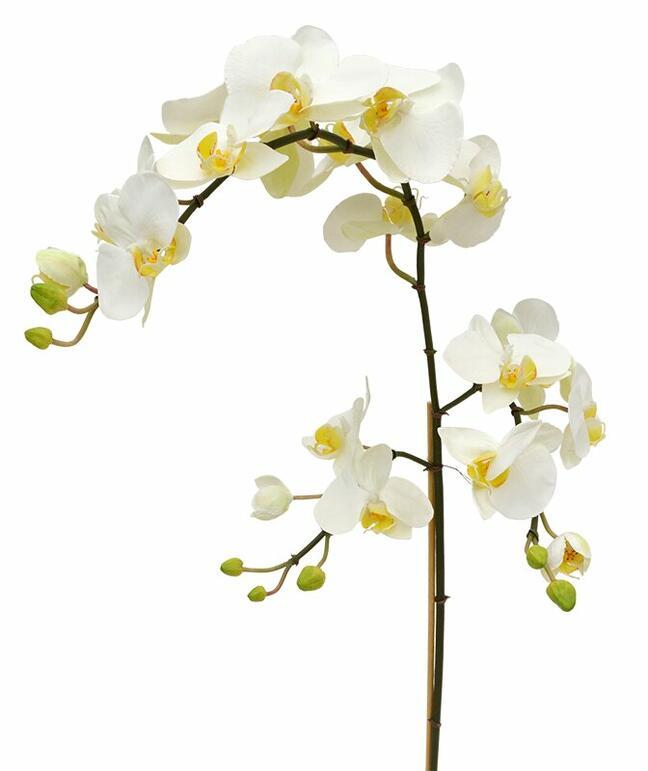 Konstgjord gren av Orchid vit 110 cm