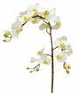 Konstgjord gren av Orchid vit 110 cm