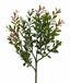 Konstgjord gren Buxus 45 cm