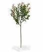 Konstgjord gren Buxus 45 cm