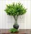 Konstgjord gren Buxus 60 cm