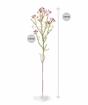 Konstgjord gren Chamelaucium uncinatum rosa 65 cm
