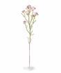 Konstgjord gren Chamelaucium uncinatum rosa 65 cm