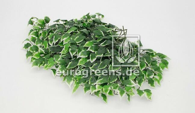 Konstgjord gren Fikus Exotica 60 cm