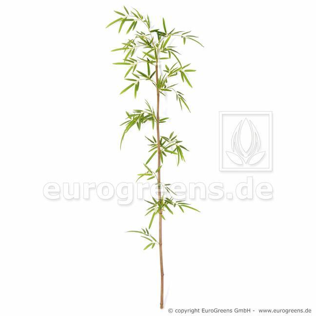 Konstgjord gren japansk bambu 150 cm