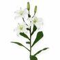 Konstgjord gren Lilja vit 50 cm