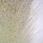 Konstgjord gren Perovec psiarkovitý grädde 80 cm