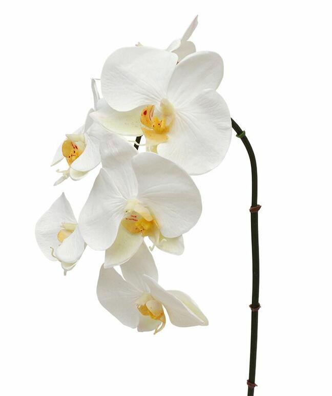 Konstgjord grengren orkidé vit 55 cm
