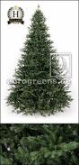 Konstgjord julgran Fir Nobilis Oxburgh 210 cm