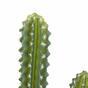 Konstgjord kaktus 69 cm