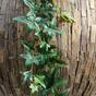 Konstgjord krans Ivy 180 cm