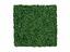 Konstgjord lövpanel Buxus - 50x50 cm