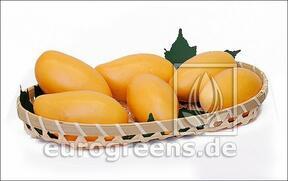 Konstgjord Mango gul