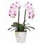 Konstgjord orkidé 43 cm