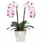 Konstgjord orkidé 43 cm