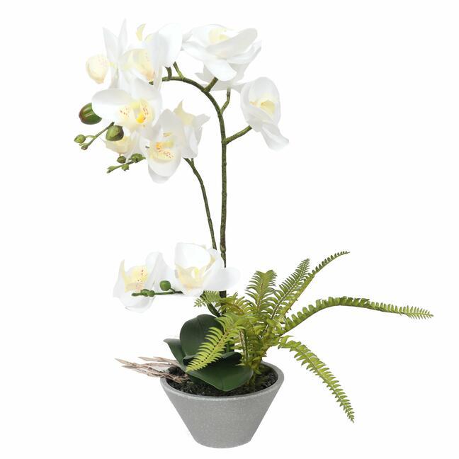 Konstgjord orkidévit med ormbunke 43 cm