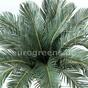 Konstgjord palm Cycas 90 cm