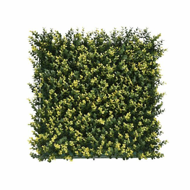 Konstgjord panel Buxus - 50x50 cm