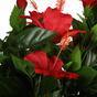 Konstgjord röd hibiskus 135 cm