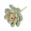 Konstgjord saftig lotus Eševéria Elegans 9,5 cm