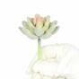 Konstgjord saftig lotus Eševéria Elegans 9,5 cm