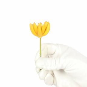 Konstgjord saftig lotus Esheveria gul 9 cm