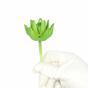 Konstgjord saftig lotus Sedum 10 cm