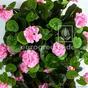 Konstgjord tendril Geranium rosa 70 cm