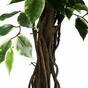 Konstgjord träd Fikus liana 150 cm